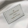 Louis Vuitton LV New Wave Bumbag M53861