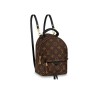 Louis Vuitton Palm Springs Mini Backpack M44873