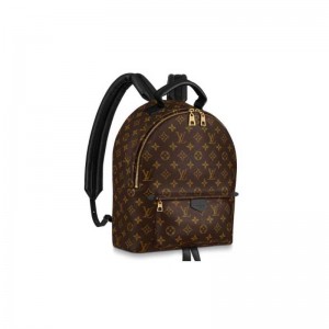 Louis Vuitton Palm Springs MM Backpack M44874