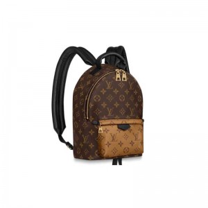 Louis Vuitton Palm Springs PM Backpack M44870